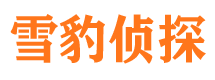 东洲市私家侦探